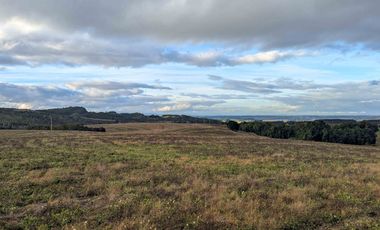 Campo en Venta en San Pablo, Osorno – 116,6 Hectáreas con Alto Potencial Agrícola o para Desarrollo Inmobiliario