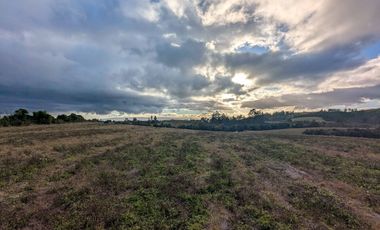 Campo en Venta en San Pablo, Osorno – 116,6 Hectáreas con Alto Potencial Agrícola o para Desarrollo Inmobiliario