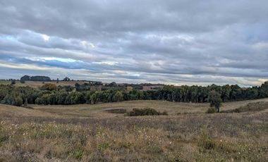 Campo en Venta en San Pablo, Osorno – 116,6 Hectáreas con Alto Potencial Agrícola o para Desarrollo Inmobiliario