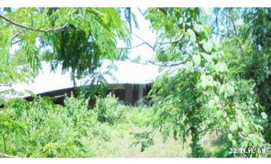 ZBL0085 ขายบ้านพร้อมโรงเรือน ตำบล ทาขุมเงิน อำเภอ แม่ทา จังหวัด ลำพูน