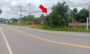 ZHL0671 ขายบ้านเดี่ยว ตำบล บ้านโฮ่ง อำเภอ บ้านโฮ่ง จังหวัด ลำพูน