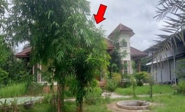 ZHL0671 ขายบ้านเดี่ยว ตำบล บ้านโฮ่ง อำเภอ บ้านโฮ่ง จังหวัด ลำพูน