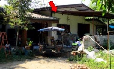 Z3A1500 ขายบ้านเดี่ยว ตำบล บ้านโฮ่ง อำเภอ บ้านโฮ่ง จังหวัด ลำพูน