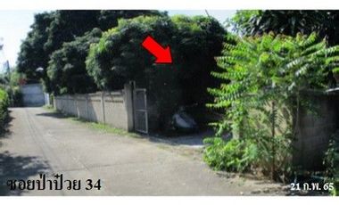 Z3A1500 ขายบ้านเดี่ยว ตำบล บ้านโฮ่ง อำเภอ บ้านโฮ่ง จังหวัด ลำพูน