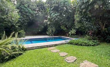 Disewa Rumah Kemang Jl. Bungur Ada Swimming Pool