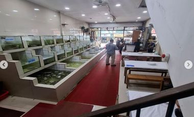 Dijual Lelang Ruko Jalan Pluit Karang Cantik Penjaringan, Kota Jakarta Utara