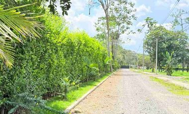Venta de lote en Acacacias Meta