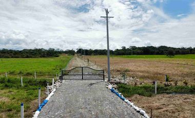Venta de lote campestre- Acacias Meta