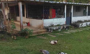 Vendo Finca de 500 Hectáreas en el Meta Municipio Puerto Lleras Sector Loma Linda
