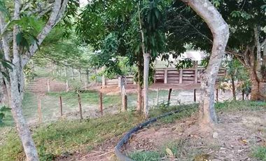 Vendo Finca de 500 Hectáreas en el Meta Municipio Puerto Lleras Sector Loma Linda