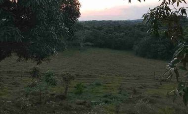 Vendo Finca de 500 Hectáreas en el Meta Municipio Puerto Lleras Sector Loma Linda