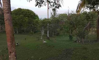 Vendo Finca de 500 Hectáreas en el Meta Municipio Puerto Lleras Sector Loma Linda