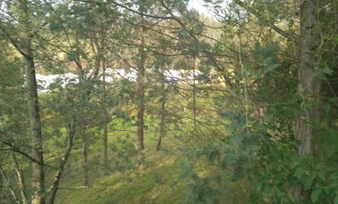VENTA, HERMOSOS TERRENO PLANO EN YARUQUI