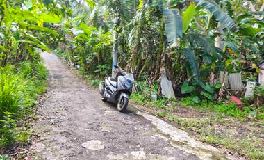 dijual tanah 5 are IDR 550 juta per are Kawasan belimbing sari pecatu Kuta Selatan Badung Bali