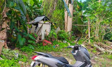 dijual tanah 5 are IDR 550 juta per are Kawasan belimbing sari pecatu Kuta Selatan Badung Bali
