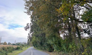 27 Km de Villarrica - Freire Parcela Productiva 3.1 Hás