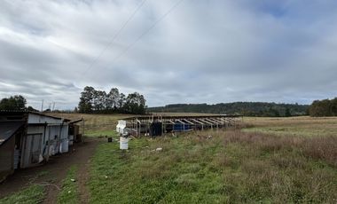 27 Km de Villarrica - Freire Parcela Productiva 3.1 Hás