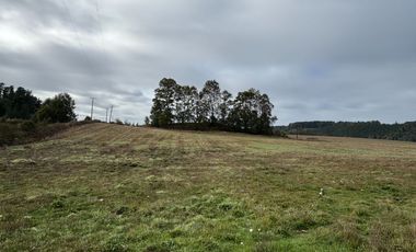 27 Km de Villarrica - Freire Parcela Productiva 3.1 Hás