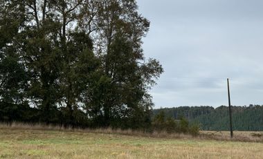27 Km de Villarrica - Freire Parcela Productiva 3.1 Hás