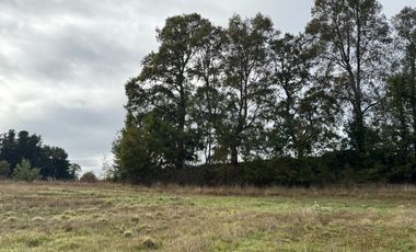27 Km de Villarrica - Freire Parcela Productiva 3.1 Hás