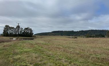 27 Km de Villarrica - Freire Parcela Productiva 3.1 Hás