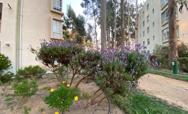 EN VENTA, AMOBLADO PLAYA ALGARROBO MIRASOL