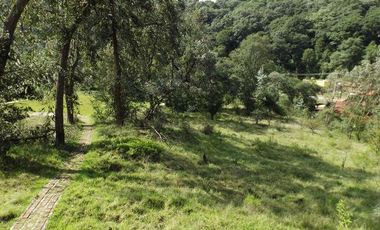 VENDO PROPIEDAD CAMPESTRE DE 4.5 Has. CON BOSQUE, RIO Y GRAN VISTA A LAS MONTAÑAS.