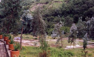 VENDO PROPIEDAD CAMPESTRE DE 4.5 Has. CON BOSQUE, RIO Y GRAN VISTA A LAS MONTAÑAS.