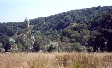 VENDO PROPIEDAD CAMPESTRE DE 4.5 Has. CON BOSQUE, RIO Y GRAN VISTA A LAS MONTAÑAS.