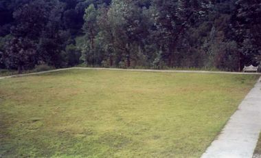 VENDO PROPIEDAD CAMPESTRE DE 4.5 Has. CON BOSQUE, RIO Y GRAN VISTA A LAS MONTAÑAS.