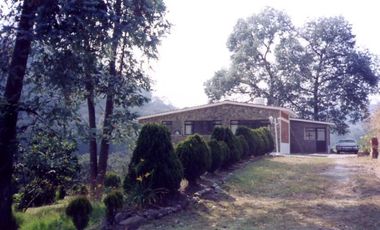 VENDO PROPIEDAD CAMPESTRE DE 4.5 Has. CON BOSQUE, RIO Y GRAN VISTA A LAS MONTAÑAS.