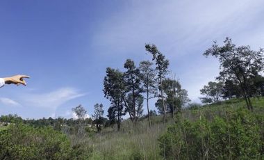 VENDO PROPIEDAD CAMPESTRE DE 4.5 Has. CON BOSQUE, RIO Y GRAN VISTA A LAS MONTAÑAS.