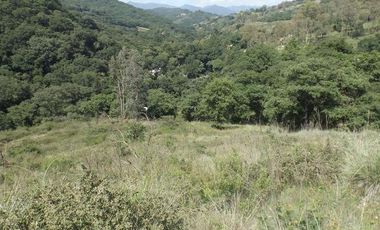 VENDO PROPIEDAD CAMPESTRE DE 4.5 Has. CON BOSQUE, RIO Y GRAN VISTA A LAS MONTAÑAS.