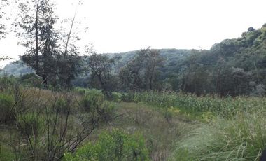 VENDO PROPIEDAD CAMPESTRE DE 4.5 Has. CON BOSQUE, RIO Y GRAN VISTA A LAS MONTAÑAS.