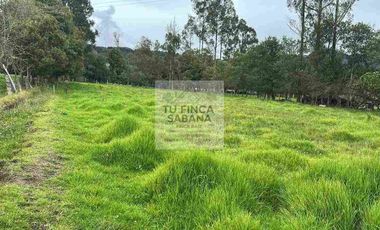VENDO LINDO LOTE EN GUASCA
