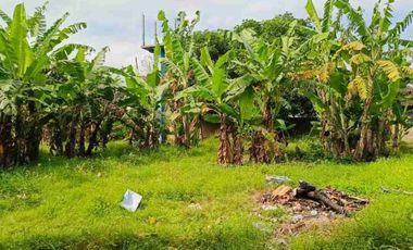 termurah!! jl bumbak umalas 38 are tanah di jual