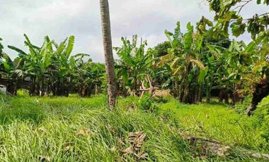 termurah!! jl bumbak umalas 38 are tanah di jual