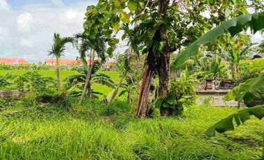 termurah!! jl bumbak umalas 38 are tanah di jual