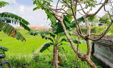 termurah!! jl bumbak umalas 38 are tanah di jual