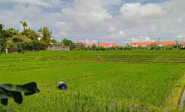 termurah!! jl bumbak umalas 38 are tanah di jual