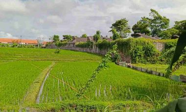 termurah!! jl bumbak umalas 38 are tanah di jual
