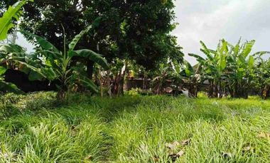 termurah!! jl bumbak umalas 38 are tanah di jual