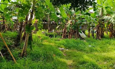 termurah!! jl bumbak umalas 38 are tanah di jual