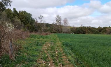Se vende hermoso campo de 40 hectáreas en el sector Iñaqui, a solo 15 minutos del aeropuerto y 25 minutos del centro de Valdivia