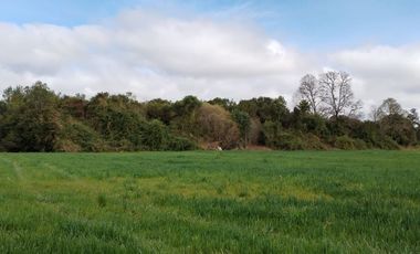 Se vende hermoso campo de 40 hectáreas en el sector Iñaqui, a solo 15 minutos del aeropuerto y 25 minutos del centro de Valdivia