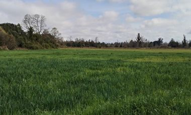 Se vende hermoso campo de 40 hectáreas en el sector Iñaqui, a solo 15 minutos del aeropuerto y 25 minutos del centro de Valdivia