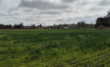 Se vende hermoso campo de 40 hectáreas en el sector Iñaqui, a solo 15 minutos del aeropuerto y 25 minutos del centro de Valdivia