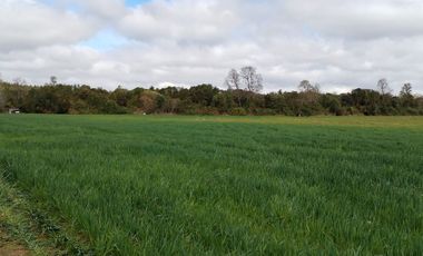 Se vende hermoso campo de 40 hectáreas en el sector Iñaqui, a solo 15 minutos del aeropuerto y 25 minutos del centro de Valdivia
