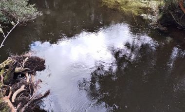 Se vende hermoso campo de 40 hectáreas en el sector Iñaqui, a solo 15 minutos del aeropuerto y 25 minutos del centro de Valdivia