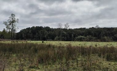 Se vende hermoso campo de 40 hectáreas en el sector Iñaqui, a solo 15 minutos del aeropuerto y 25 minutos del centro de Valdivia